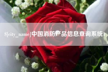 梁山中国消防产品信息查询系统1