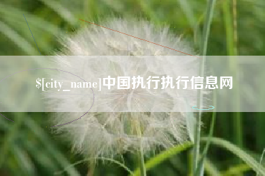 梁山中国执行执行信息网