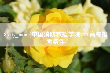 梁山中国消防救援学院2020高考报考条件