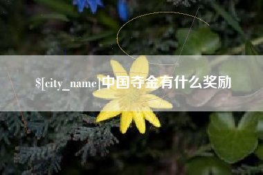 梁山中国夺金有什么奖励