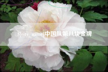 梁山中国队第八块金牌