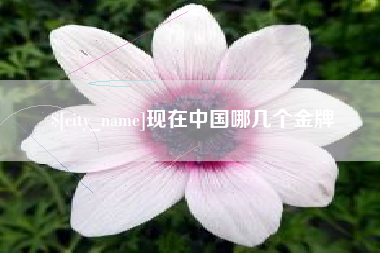 梁山现在中国哪几个金牌
