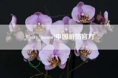 梁山中国消防官方