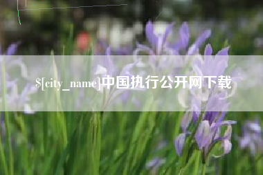 梁山中国执行公开网下载