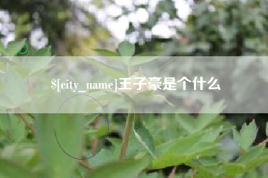 梁山王子豪是个什么