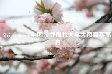 梁山中国金牌图片大全大图真实高清