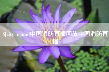 梁山中国消防直播回放中国消防直播