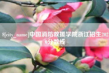 梁山中国消防救援学院浙江招生2020分数线