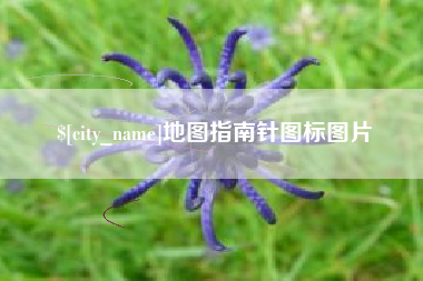 梁山地图指南针图标图片