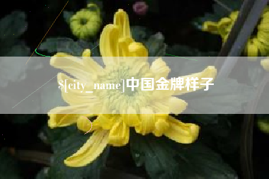 梁山中国金牌样子