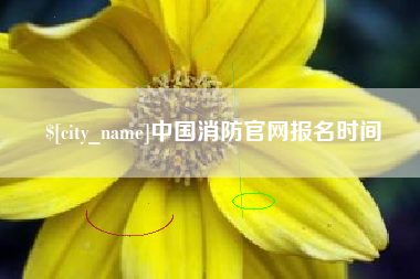梁山中国消防官网报名时间