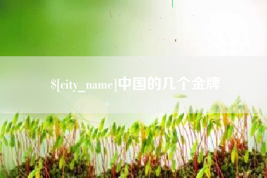 梁山中国的几个金牌