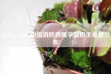 梁山中国消防救援学院招生章程公布!