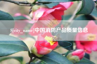 梁山中国消防产品质量信息