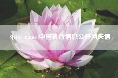 梁山中国执行信息公开网失信