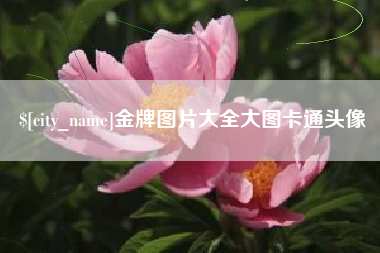 梁山金牌图片大全大图卡通头像