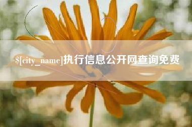 梁山执行信息公开网查询免费