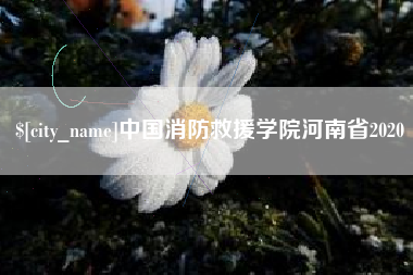 梁山中国消防救援学院河南省2020